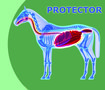 Healthy Gut Protector 2 en 5 kg
