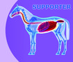 Healthy Gut Supporter 1,5 en 5 kg